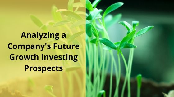 Analyzing a Company's Future Growth Investing Prospects