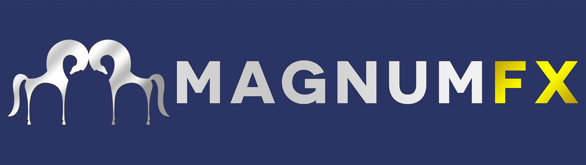 MagnumFX