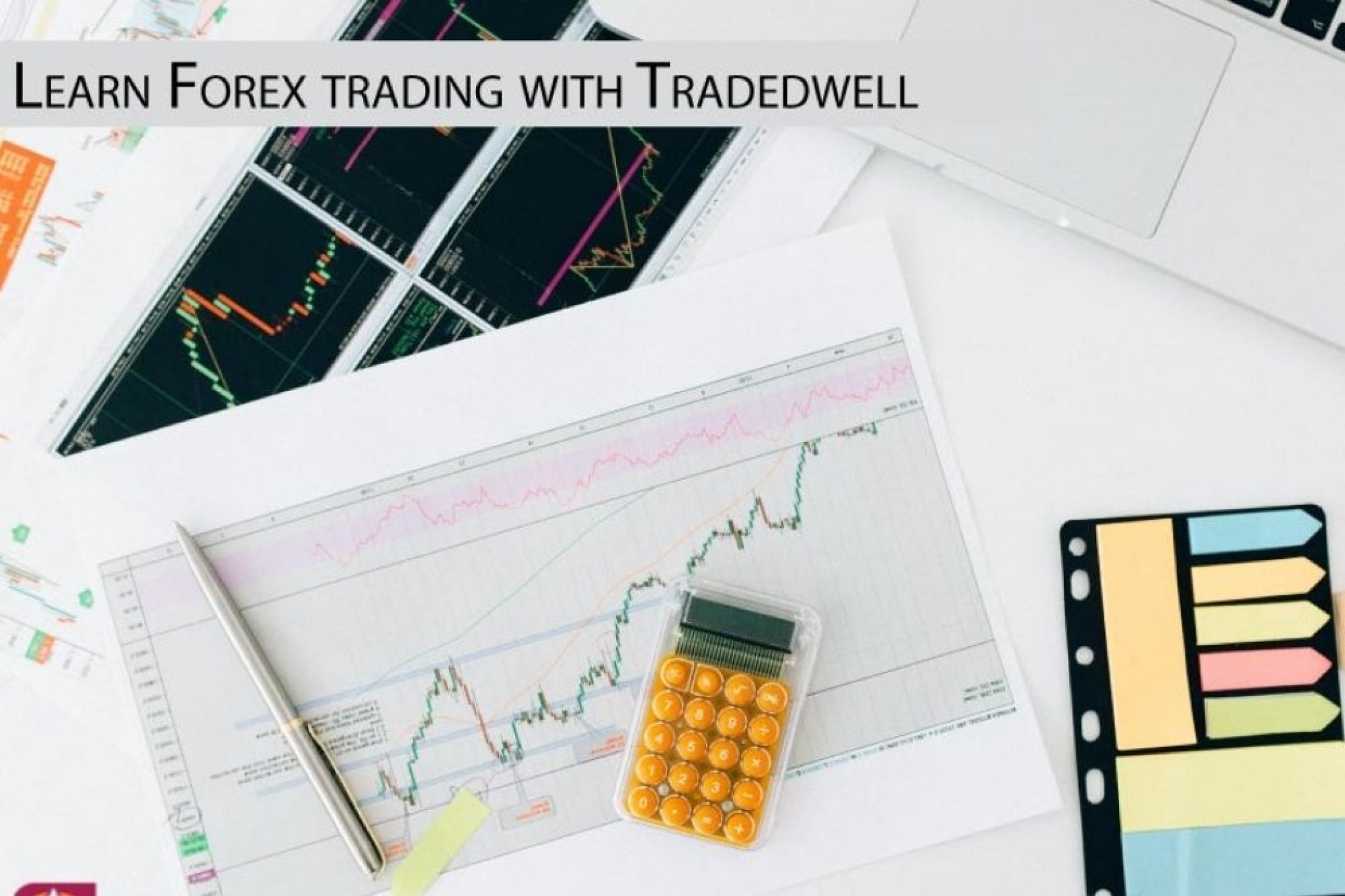 Learn Forex Trading With TradedWell - Fxreviews.best