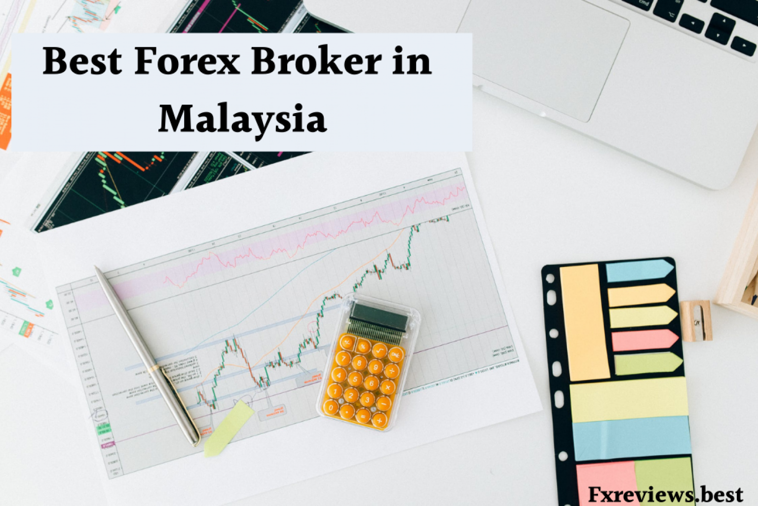 Best Forex Brokers In Malaysia - Fxreviews.best