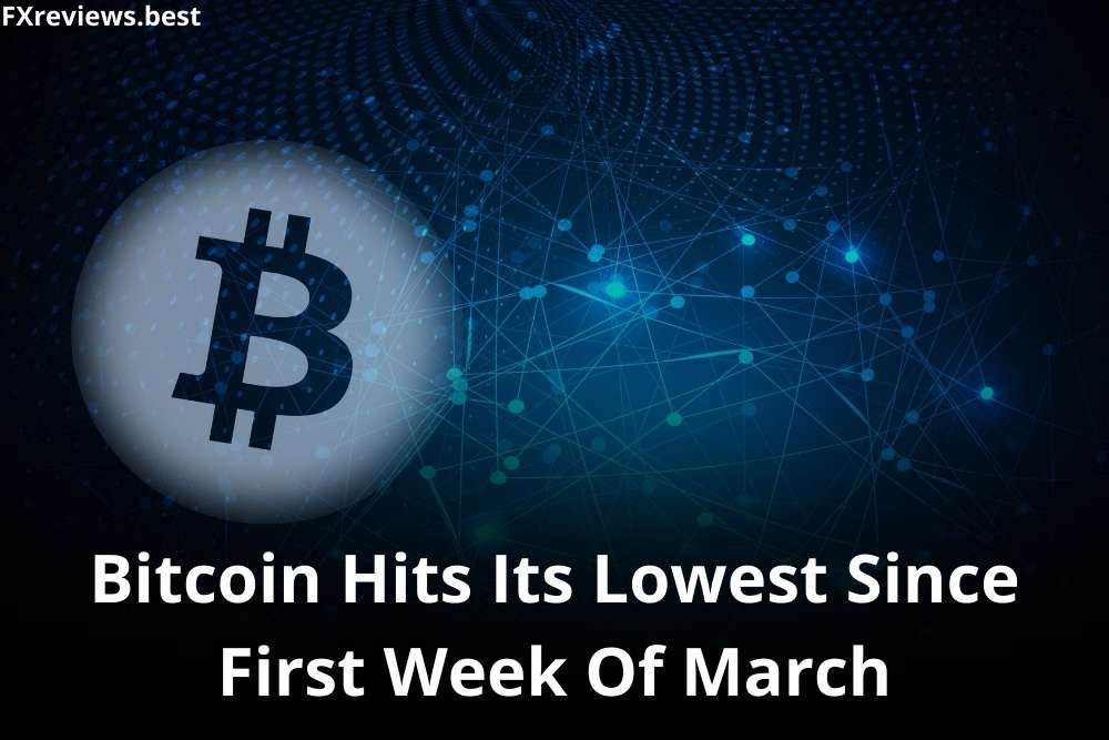 Bitcoin Hits Its Lowest Since First Week Of March