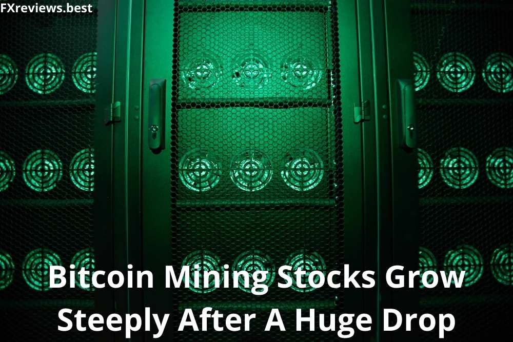 Bitcoin Mining Stocks Grow Steeply After A Huge Drop