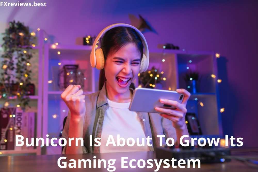 Bunicorn Is About To Grow Its Gaming Ecosystem