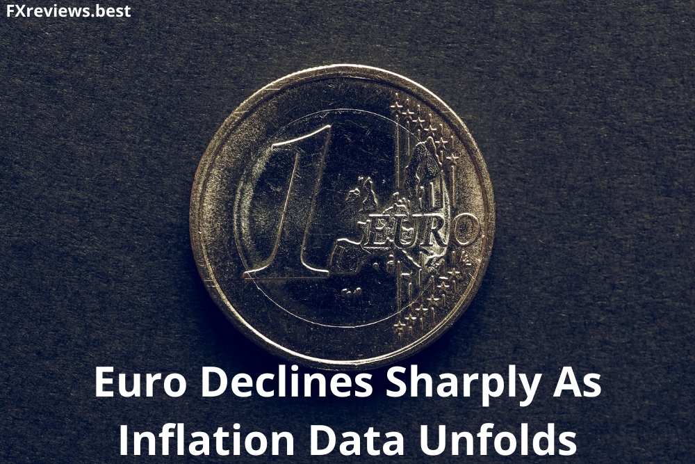 Euro Declines Sharply As Inflation Data Unfolds